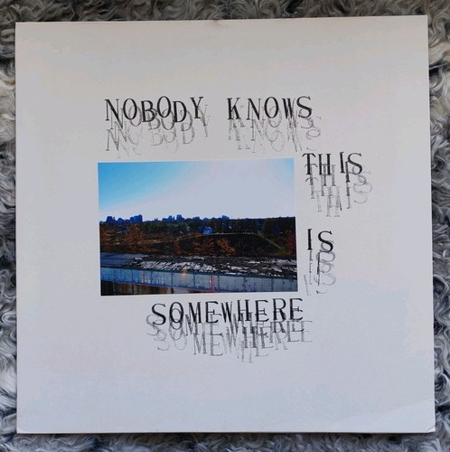 V/A Nobody Knows This Is Somewhere LP US 2017-19 Experimental PSYCH⭐500 MADE⭐NEW - Picture 2 of 4