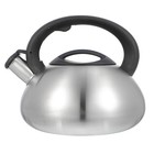 1pc Edelstahl Pfeife Teakettle Haushalt Wasser kochender Wasserkessel (Silber)