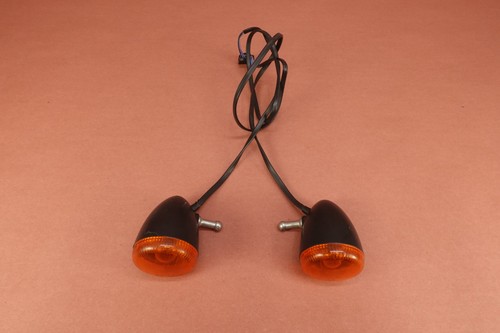 2009-2021 Harley Davidson Iron 883 XL883N Front Turn Signal Indicators - Picture 8 of 12