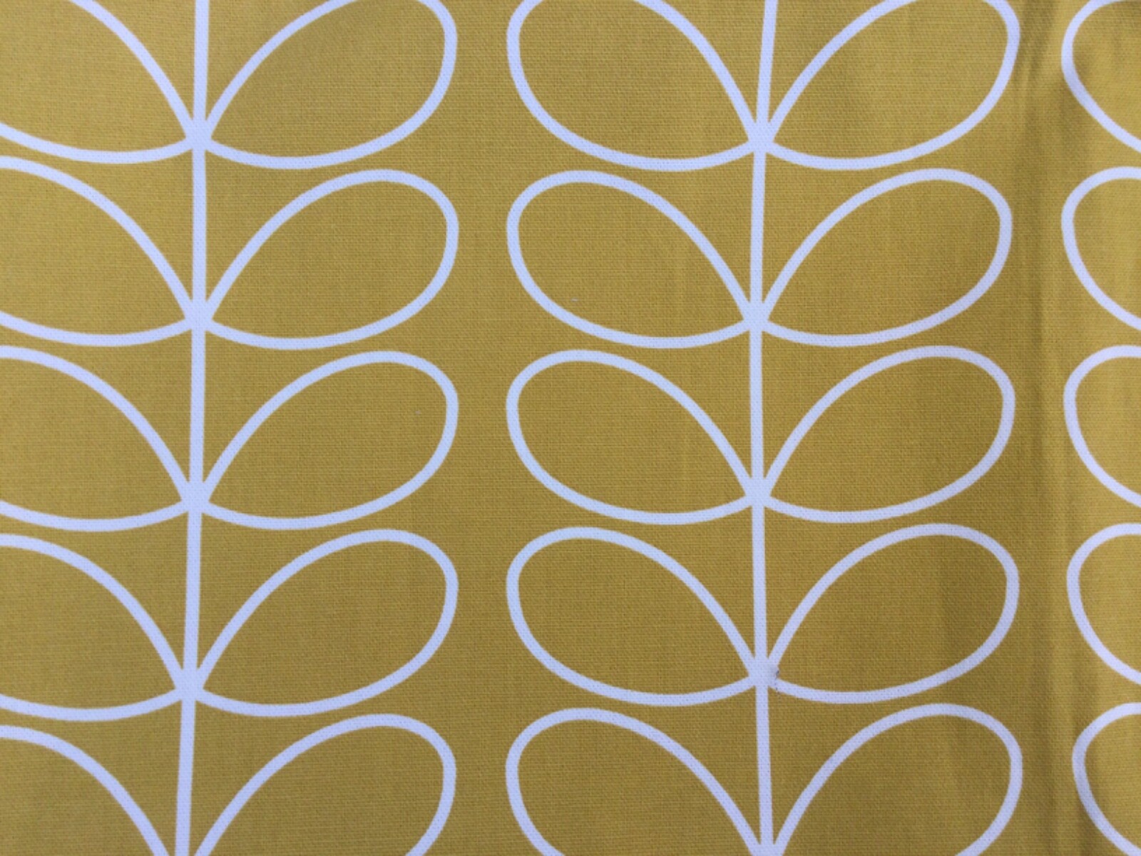 Picture 8 of 16