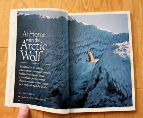 National Geographic mayo 1987; lobos; Ucrania; Chernobyl; Nueva Zelanda; kiwi - Imagen 5 de 17