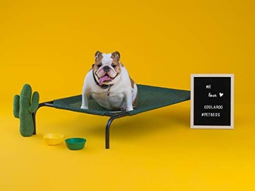 Coolaroo Replacement Cover, The Original Elevated Pet Assorted Colors , Sizes - Picture 11 of 22