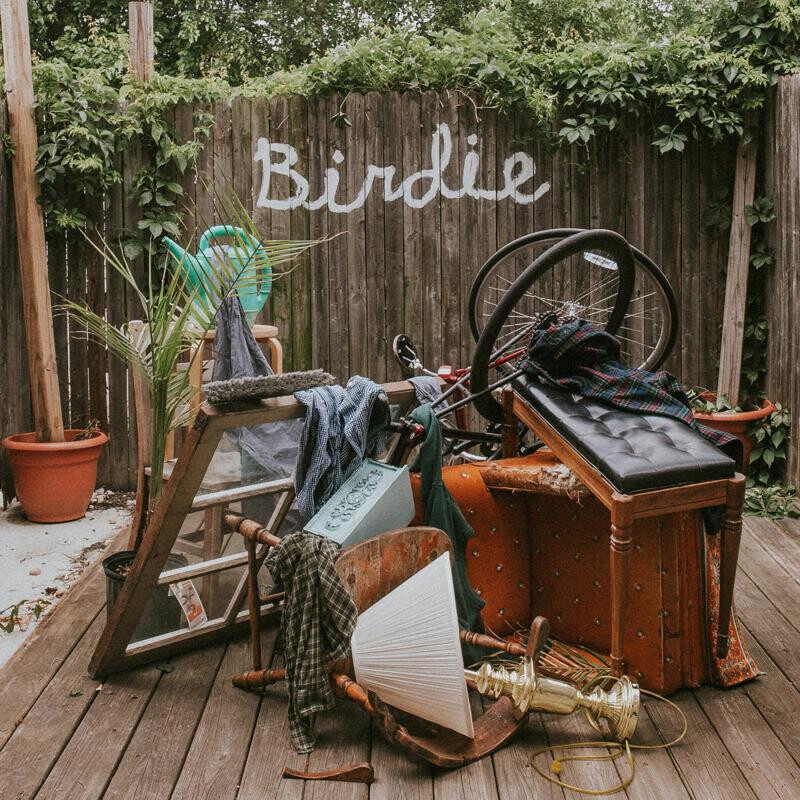 Slaughter Beach, Dog Birdie (CD) Album