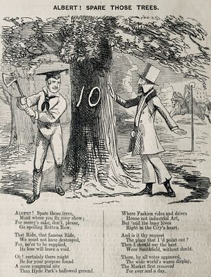 um 1850 PRINZ ALBERT! SPARE THOSE TREES, LONDON ROTTEN ROW Original Antique Print
