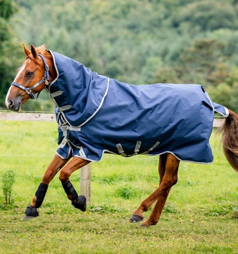 Horseware Amigo Bravo Plus Bundle 50g 1200d Turnout Rug Hood 100g & 200g Liners - Picture 5 of 14