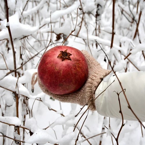 Pomegranates Sochi Russian Dwarf (Punica Granatum ) 10 fresh seeds in pack samen - Picture 4 of 6
