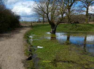 Photo 12x8 Pond and track near Edgell Spinney Stanford on Avon The track i c2013