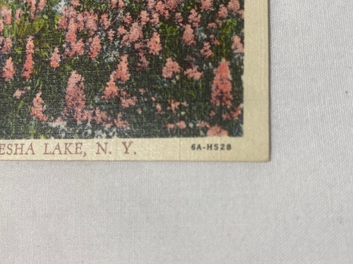 GREETINGS FROM HOTEL GEBBER, KIAMESHA LAKE, NY POSTCARD - Picture 5 of 7