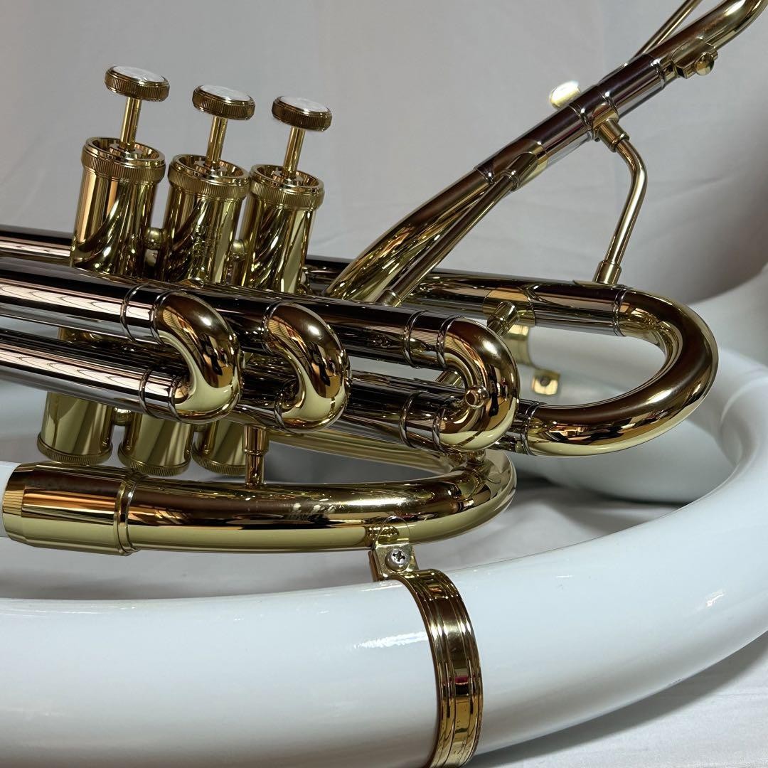 Yamaha YSH-301 Series Sousaphone for sale online | eBay