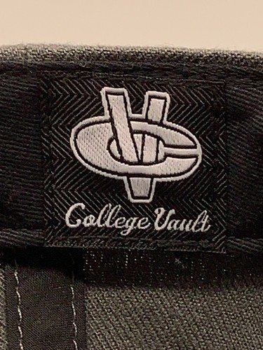 Gorra Michigan Wolverines Gorra Correa Gris 47 Marca Wolverbear Marinero Logo Retro - Imagen 12 de 15