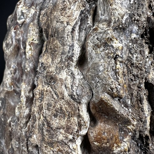 570GR Tronco Naturale Ambra Grezzo Parzialmente Lucido Sumatra - Foto 19 di 20