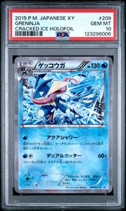 PSA 10 - Greninja 209/XY-P Cracked Ice Japanese Promo - Pokemon