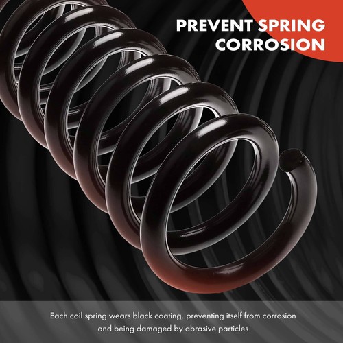 2x Rear Left & Right Coil Springs for Nissan Altima 2002-2006 Maxima 2004-2008 - Picture 3 of 9