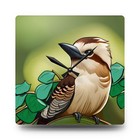 Kookaburra Wall Clock, Acrylic Clock, Nature Lover Gift, Bird Watcher Home