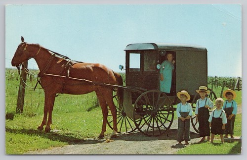 Saludos desde Penna. Postal holandesa de niños Amish del país en caballo y cochecito - Imagen 1 de 2