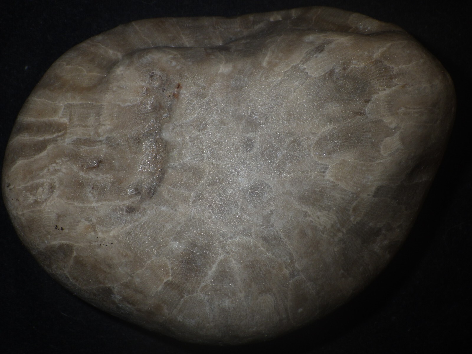 Picture 3 of 4