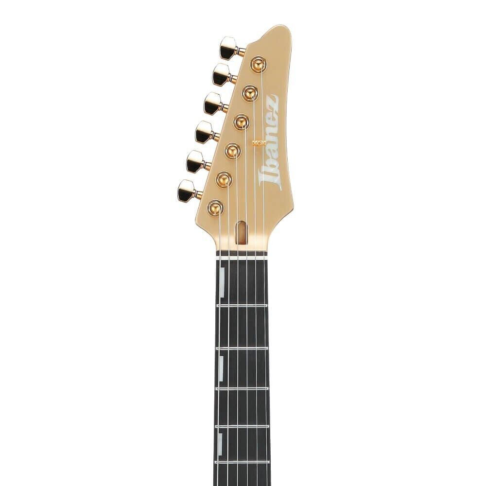Ibanez Electric Guitar SIGNATURE MODEL Scott LePage KRYS10 Ibanez Electric Guitar SIGNATURE MODEL Scott LePage KRYS10