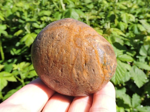 Menge WEST COAST ROCKS * 12 Pfund * GEMISCHTE BECHER Achat, Jaspis, Hornstein & Haustier Holz - Bild 24 von 24