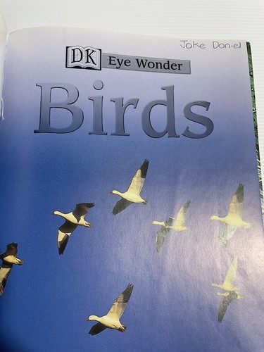 DK Eyewonder Birds, Forest & Reptiles (Children's Non-Fiction/Reference Books) - Picture 9 of 9