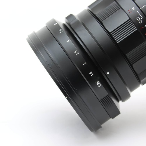 Voigtländer Nokton 10,5 mm f/0,95 (für Micro Four Thirds Mount) #371 - Bild 7 von 12