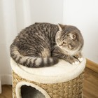 Foto 9 di 10