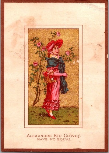 Antike viktorianische Sammelkarte - Alexandre Kinderhandschuhe - Goodwin - Oneida NY  - Bild 1 von 2
