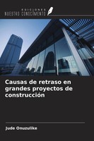 Jude Onuzulike | Causas De Retraso En Grandes Proyectos De ConstruccióN | Buch