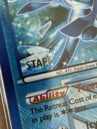 PSA 8 Glaceon City Championships STAFF Promo 23/116 Pokemon Eeveelution (963655) - Imagen 2 de 5