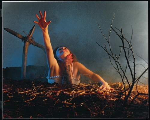 Tanz der Teufel (Uncut, Remastered) (DVD) Bruce Campbell Ellen Sandweiss - Imagen 9 de 10