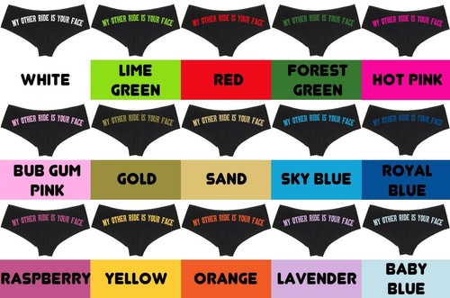 My OTHER RIDE Is Your FACE rude sexy boyshort underwear oral sex panties funny eBay