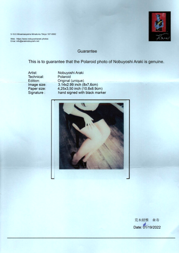 ARAKI NOBUYOSHI - ORIGINAL POLAROID VOM KÜNSTLER SIGNIERT UND ZERTIFIZIERT - Bild 3 von 5
