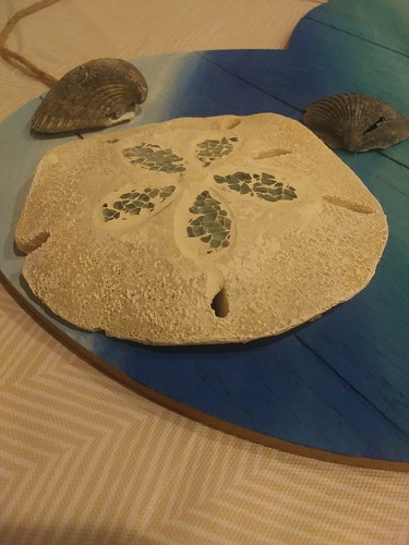 Crab - Beach Wall Art Seashell - Picture 7 of 14