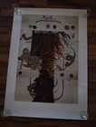 Picture 2 of 7