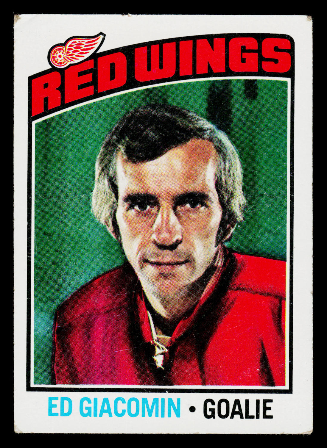 1976-77 Topps #160 Ed Giacomin Detroit Red Wings Hockey Card
