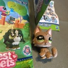 Foto 4 di 4
