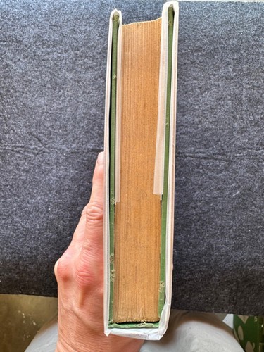 1923 - The Cowardly Lion Of Oz by Ruth Plumly Thompson (L. Frank Baum) HCDJ NICE - Picture 14 of 16