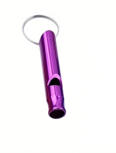 Silbato Personalizado Maestro Color Metal Deportes Fuerte Fútbol Árbitro Llavero - Imagen 36 de 45