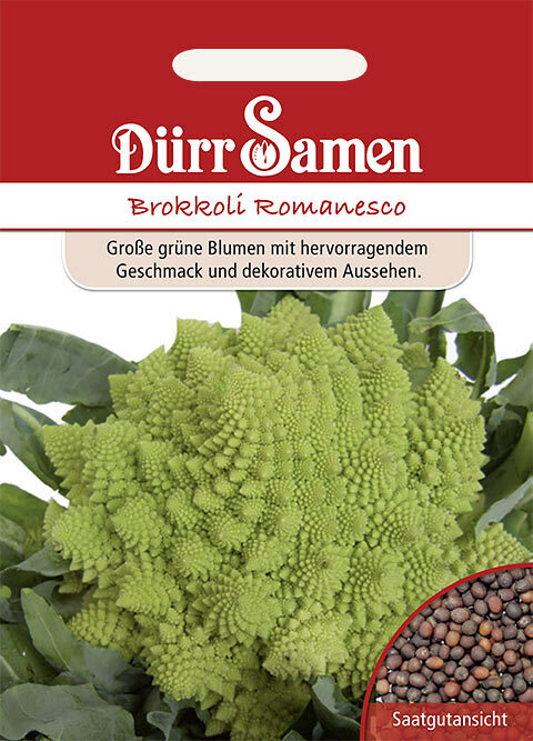 Bild 31 von 115
