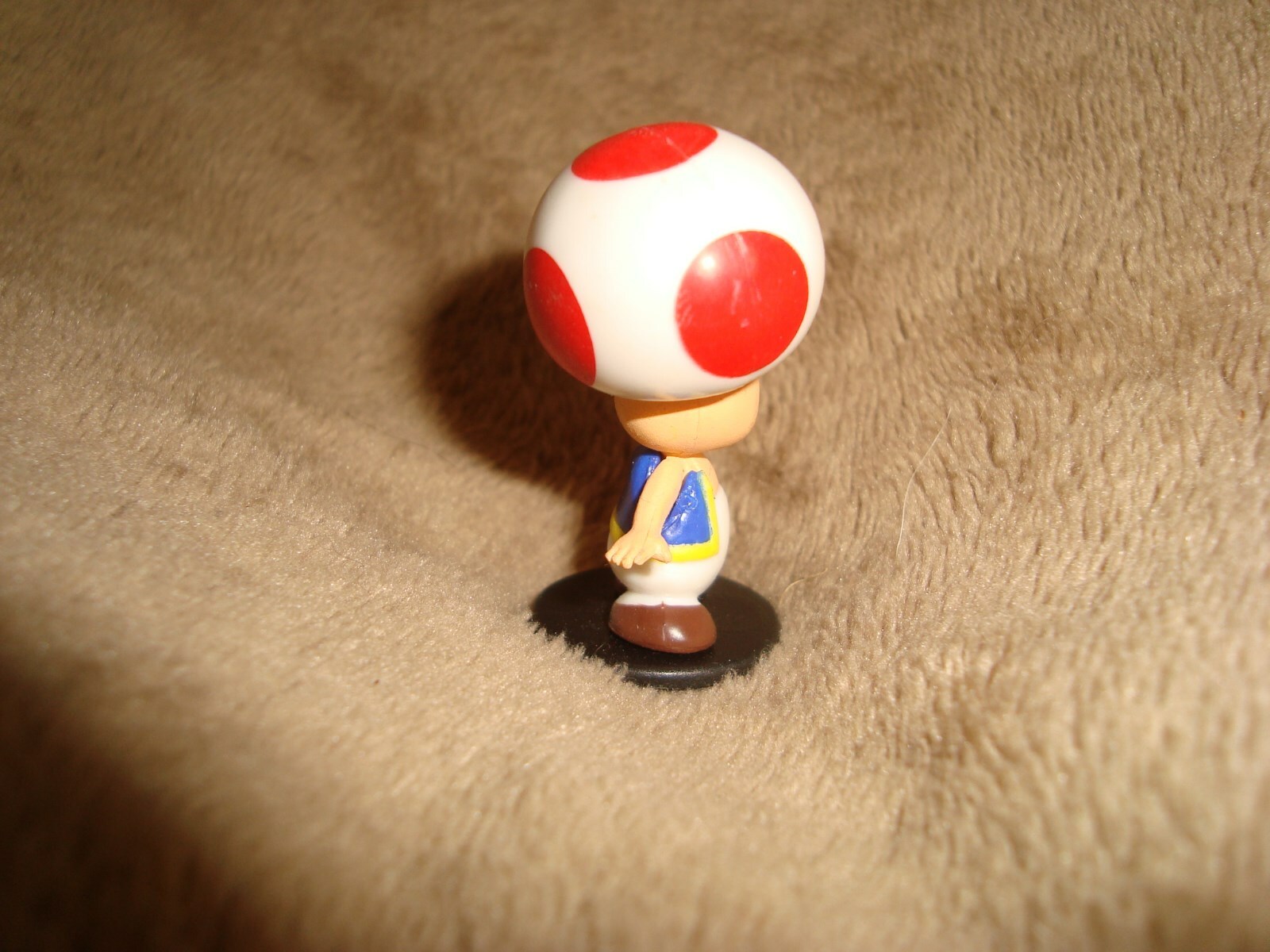 Picture 4 of 5
