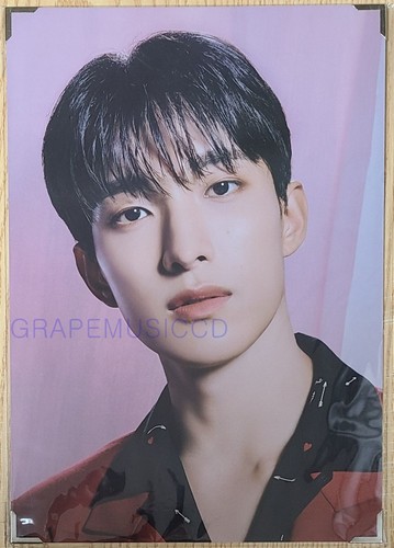 SEVENTEEN POWER OF LOVE OFFICIAL GOODS PREMIUM PHOTO NEW - 第 8/9 張圖片