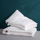 Natural Silk Pillow 48 * 74cm Natural Silk Filled Jacquard Quilted Pillows