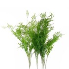 Artificial Foliage Boston Fern Stem 120cm Pack of 6
