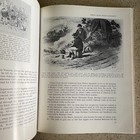 Picture 5 of 5