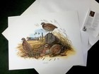 Picture 2 of 8