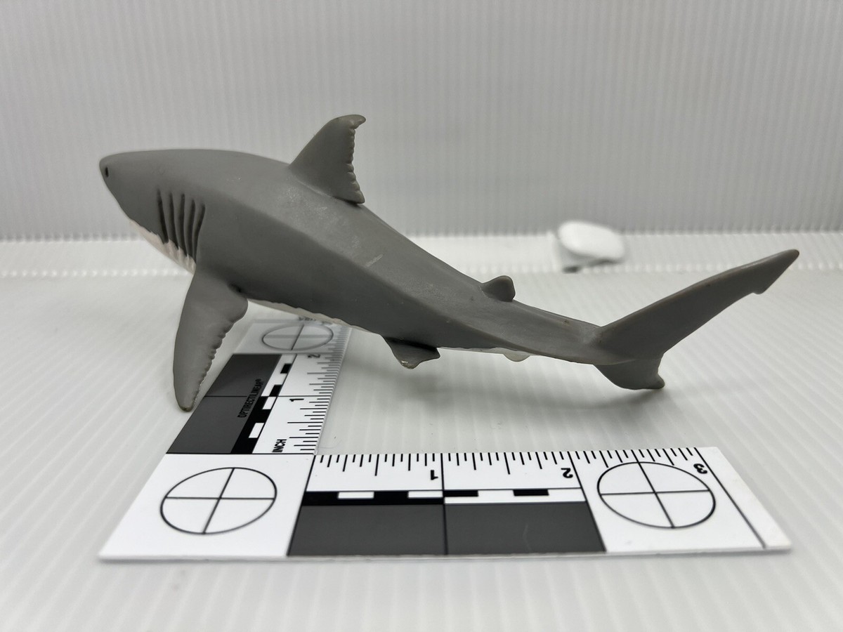 セール中 SHARK 豪華版 初回限定生産 5枚組 レア Amazon.co.jp