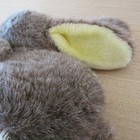 Picture 9 of 9