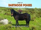 Spirit of Dartmoor Ponies by Dartmoor Pony Society (Hardback, 2009)