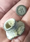 civil war CS 2 piece( nice backmark )button and fired  bullet from Pilot Knob MO