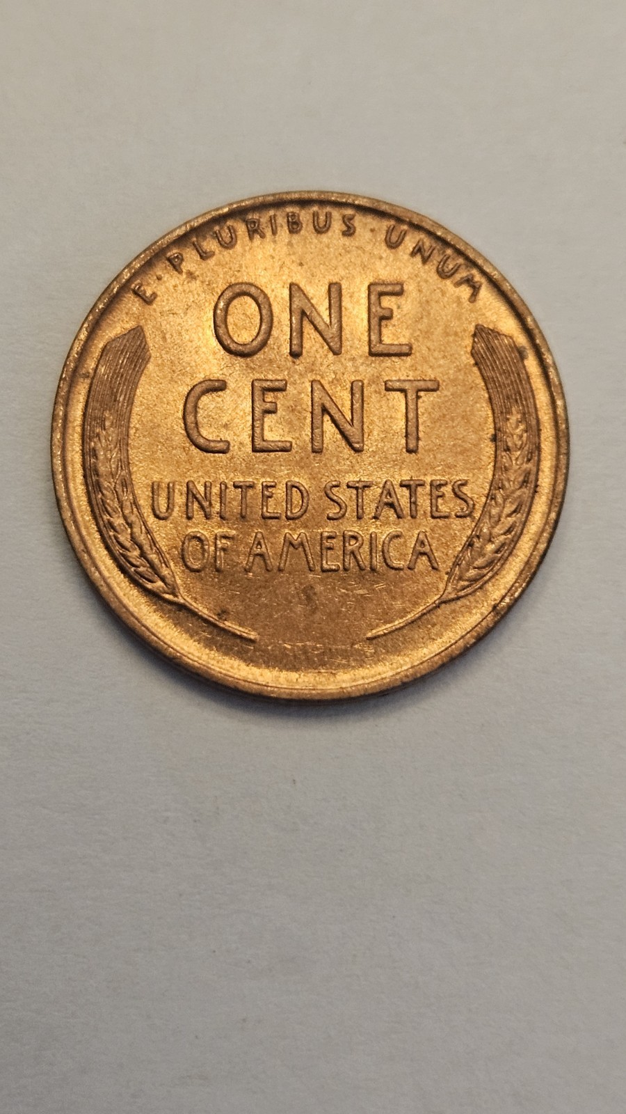 Picture 3 of 3