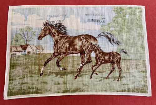 Vintage Ulster Linen Tea Towel w Horses Pattern Kitchen Dish Toowoomba Art Gift - Picture 13 of 16